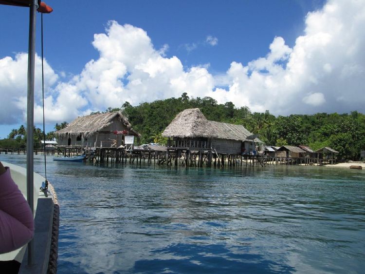 Sudah Masyhur, Kampung-kampung di Raja Ampat Ini Juga Cinta Lingkungan
