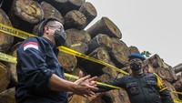 Kapolda Riau Irjen Pol Agung Setya Imam Effendi (kanan) berdialog dengan Dirjen Gakkum KLHK Rasio Ridho Sani (kiri) usai menjelaskan kronologis penangkapan pelaku pembalakan liar (ilegal logging) disaat pengungkapan kasus, di Kantor Balai Gakkum Wilayah Sumatera, di Pekanbaru, Riau, Kamis (26/11/2020).