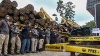 Operasi gabungan penindakan kejahatan lingkungan yang dilakukan Gakkum KLHK, BBKSDA Riau dan Polda Riau ini berhasil mengamankan 404 batang kayu log, 2.559 keping kayu olahan dari sawmill-sawmill penampung kayu ilegal, dua unit truk, 12 mesin pengolah kayu, 25 bilah mata gergaji dan 206 batang kayu log di aliran Sungai Subayang kawasan konservasi Suaka Margasatwa (SM) Rimbang Baling, Kabupaten Kampar, Riau.