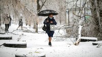 Orang-orang berjalan di antara cabang-cabang pohon tumbang yang tertutup es setelah diterjang badai es di Vladivostok, Rusia.