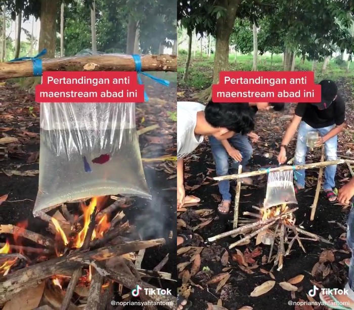 Duh! Adu Ikan Cupang di Atas Api yang Kalah Langsung Digoreng