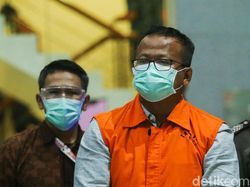 Kasus Edhy Prabowo, KPK Sita Dokumen Ekspor Benur di Kantor PT ACK
