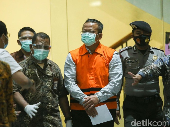 Menteri Kelautan dan Perikanan Edhy Prabowo ditetapkan sebagai tersangka penerima suap terkait dengan urusan ekspor benih lobster atau benur.