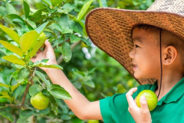 Menyatu dengan Alam, 3 Tempat Ini Cocok untuk Wisata Edukasi Anak