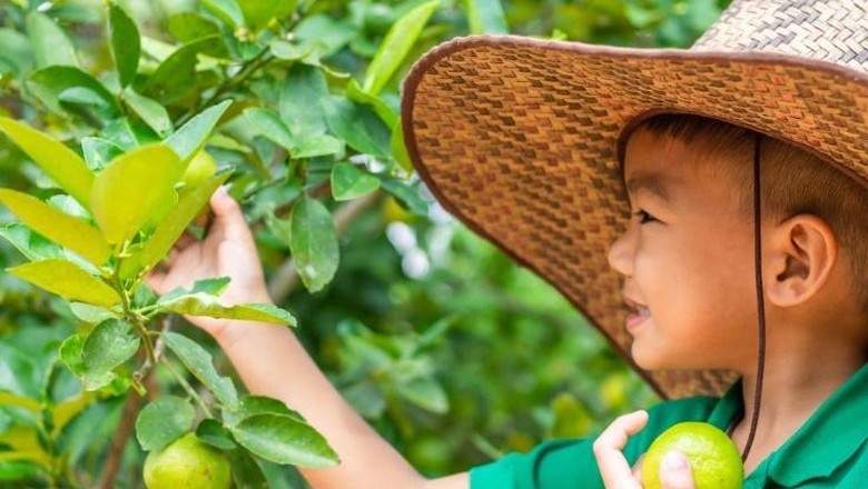 Image Artikel Kemenpar 26 November Menyatu dengan Alam, 3 Tempat Ini Cocok untuk Wisata Edukasi Anak