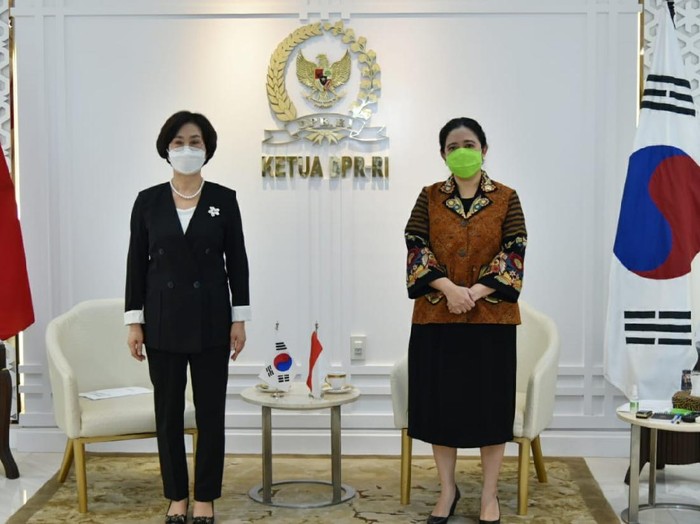 Ketua DPR Puan Maharani