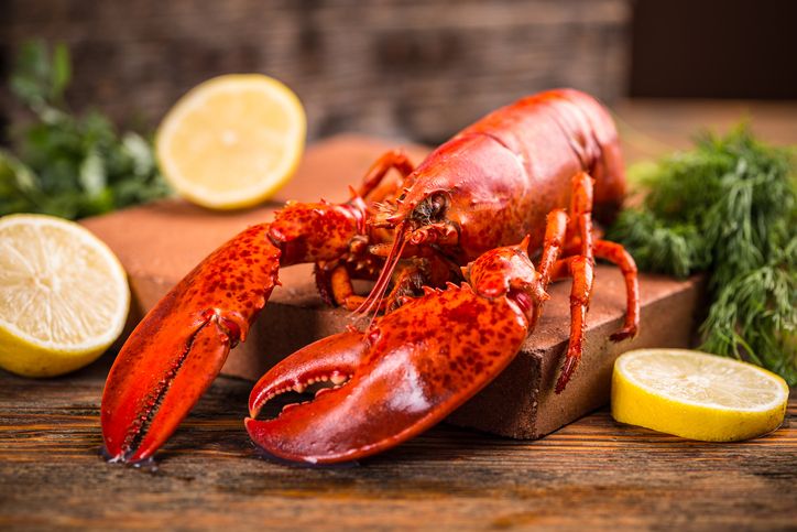 5 Fakta Lobster yang Dulu Dianggap Makanan Orang Miskin