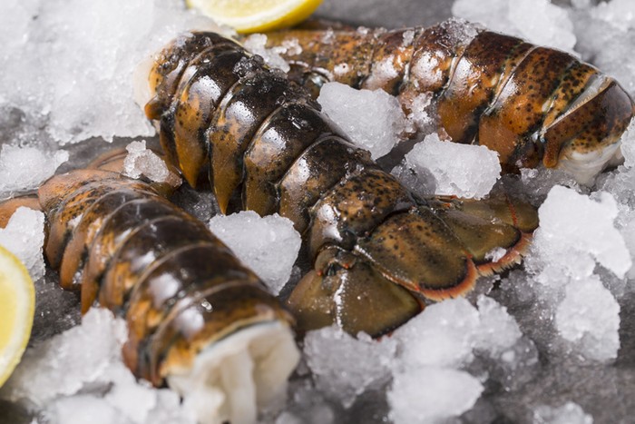 5 Fakta Lobster yang Dulu Dianggap Makanan Orang Miskin