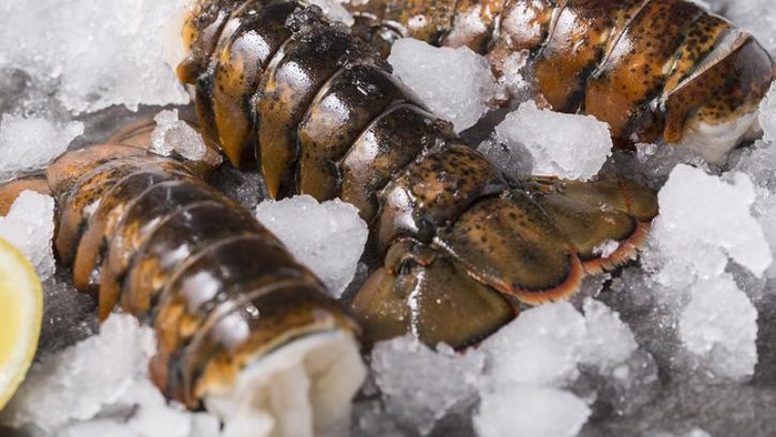 5 Fakta Lobster yang Dulu Dianggap Makanan Orang Miskin