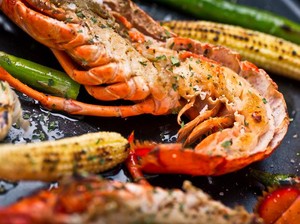 Chef Dilarang Rebus Lobster Hidup Karena Langgar Kesejahteraan Hewan