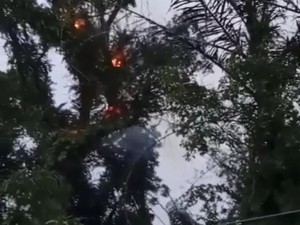 Lagi Viral di Pemalang! Pohon Tua di Pemakaman Keramat Tetiba Terbakar