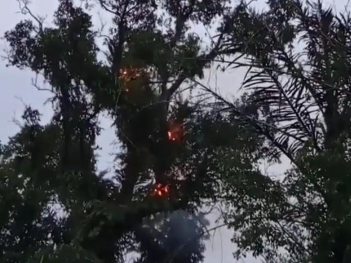 Pohon tua di makam keramat tiba-tiba terbakar, Pemalang, Kamis (26/11/2020).