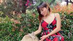 10 Potret Eva Belisima Istri Baru Kiwil