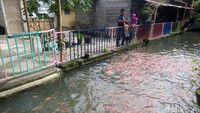 Awalnya saluran air ini tak terawat. Selain pendangkalan, bau menyengat dan sampah menjadi pemandangan sehari-hari.