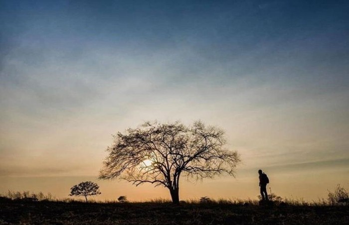 Taman Nasional Baluran