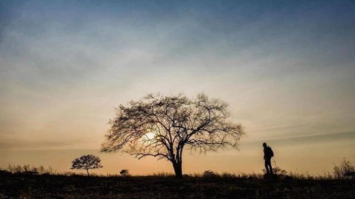 Taman Nasional Baluran