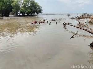 Dua Remaja Tercebur ke Laut di Probolinggo, Satu Hilang Tenggelam