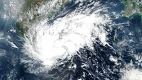 Departemen Meteorologi India mengatakan Topan Nivar diperkirakan akan datang dengan kecepatan angin 120 km/jam dan hembusan hingga 145 km/jam.