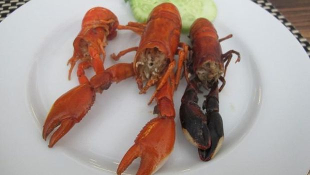 Udang khas Papua.