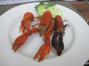 Heboh Lobster, Ada Udang Selingkuh Berharga Mahal di Papua