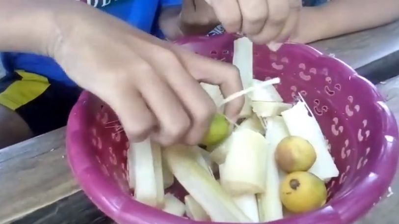 Kocak! Begini Aksi Bocah saat Mukbang Tebu