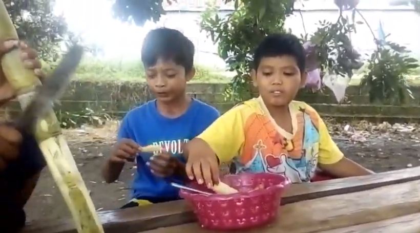 Kocak! Begini Aksi Bocah saat Mukbang Tebu