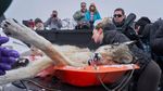 Foto Juara British Ecological Society 2020 Bagian I