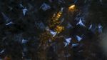 Foto Juara British Ecological Society 2020 Bagian II