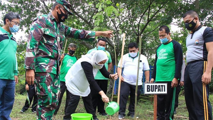 bupati anna