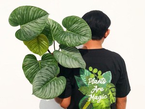 Kenalan dengan Dharma Jungle, Selebgram Tanaman Hias dengan Koleksi Sultan