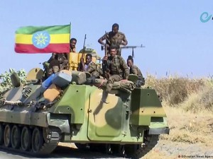 Amerika Serikat Diminta Turun Tangan di Ethiopia