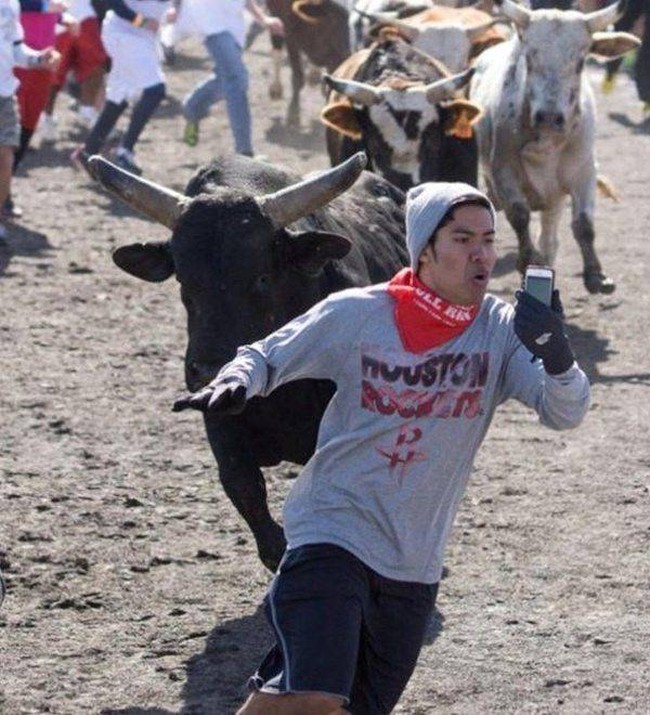 Walaupun nyawa terancam dikejar banteng, tapi tetep.. selfie dulu guys.. Foto: www.ebaumsworld.com