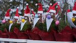 Geliat Perkebunan Pohon Natal di Jerman
