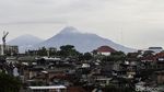 Gunung Merapi Semburkan Asap Sulfatara