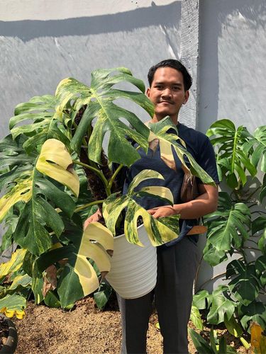 Iqbal Akbar Muhammad yang menukarkan mobil dengan tanaman hias bersama kakaknya.