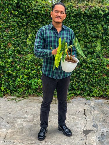 Iqbal Akbar Muhammad yang menukarkan mobil dengan tanaman hias