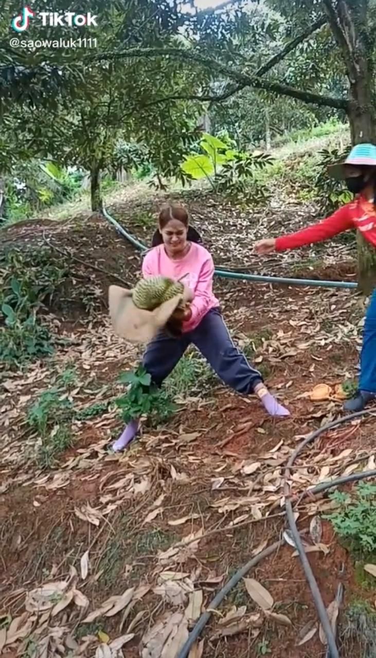 Jago Tangkap Durian, Wanita Cantik Ini Jadi Idola Netizen
