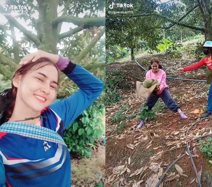Jago Tangkap Durian, Wanita Cantik Ini Jadi Idola Netizen