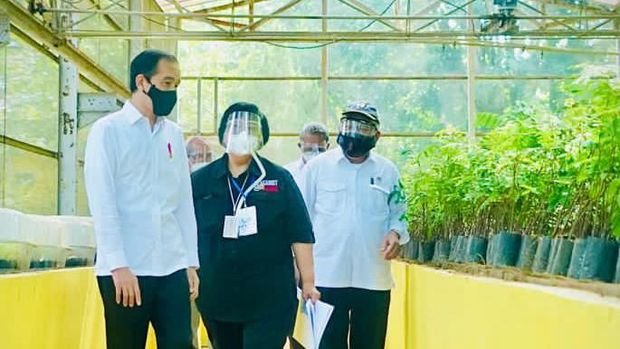 Jokowi Tinjau Pusat Sumber Benih dan Persemaian di Rumpin Bogor