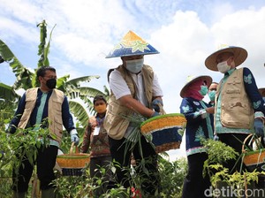 SMKN 5 Jember Ini Lahirkan Inovasi Pertanian dan Kemaritiman