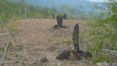 Foto: Batu Tegak Papua yang Bisa Kabulkan Permohonan