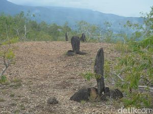 Menghidupkan Kembali Situs Megalitik Tutari di Papua