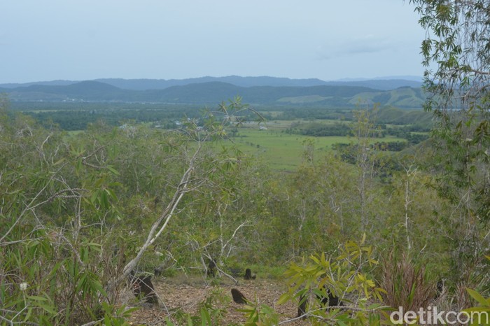 Menhir di Bukit Tutari