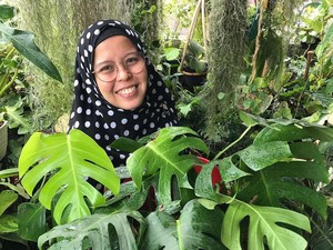 Kisah Kolektor Tanaman Hias, Dulu Beli Murah Kini Berharga Puluhan Juta