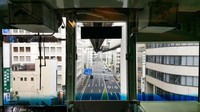 Monorel Kota Chiba adalah pemandangan yang menarik karena tampak tergantung di bawah rel. Foto: Dok. Forbes/Geoffrey Morrison