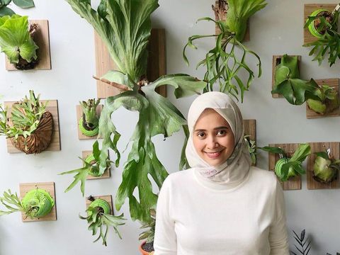 Nyonya Destira kolektor tanaman hias sultan