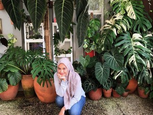 Koleksi Tanaman Hias, YouTuber Ini Punya King & Queen Anthurium Harga Jutaan