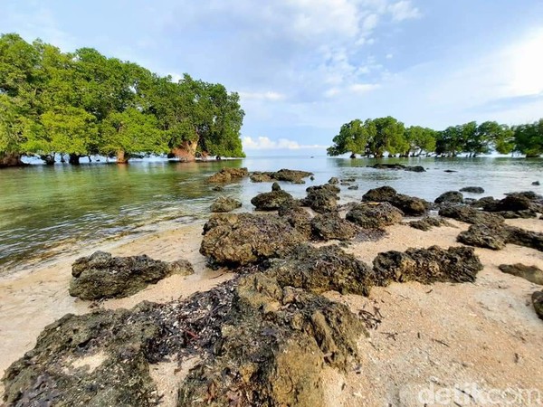 Latar pepohonan mangrove menjadi spot foto favorit. (Dokumen Pokdarwis Desa Malaju)