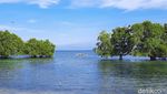 Foto:  Pantai Pasir Putih itu Bernama Paropa Kilo