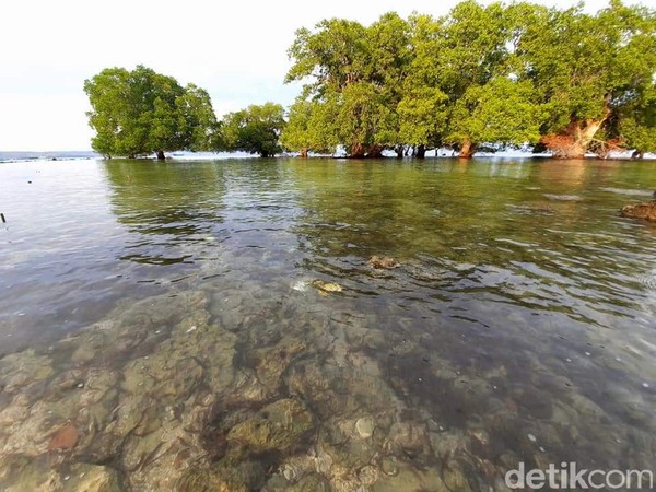 Selain berenang, traveler bisa wisata kuliner menikmati seafood. (Dokumen Pokdarwis Desa Malaju)